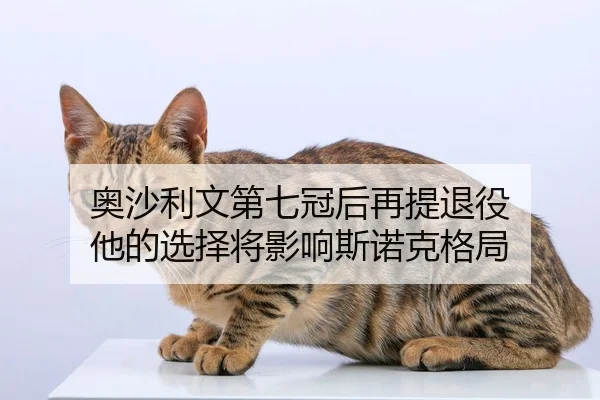 奥沙利文第七冠后再提退役 他的选择将影响斯诺克格局