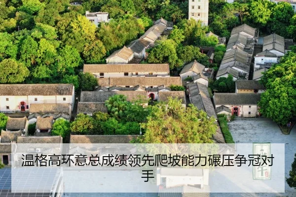 wen-ge-gao-huan-yi-zong-cheng-ji-ling-xian-pa-po-neng-li-nian-ya-zheng-guan-dui-shou-3-179.jpg